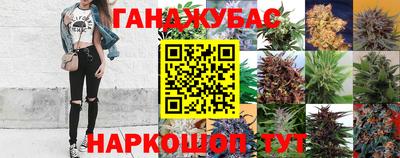 крисы Мариинск