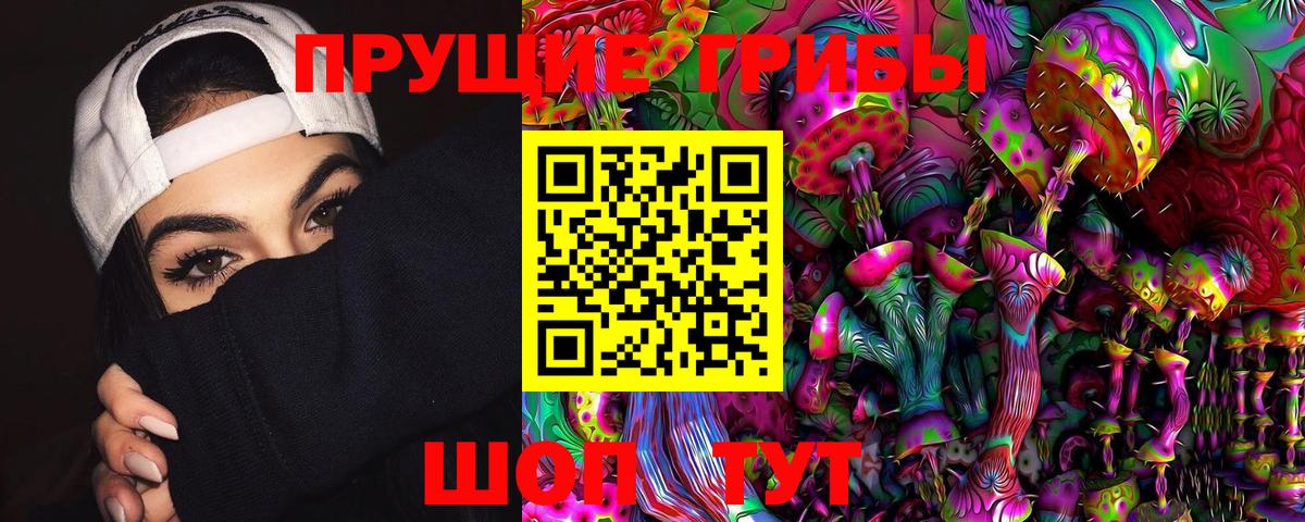 Верхняя Салда  Псилоцибиновые грибы Psilocybine cubensis  Вход с VPN 
